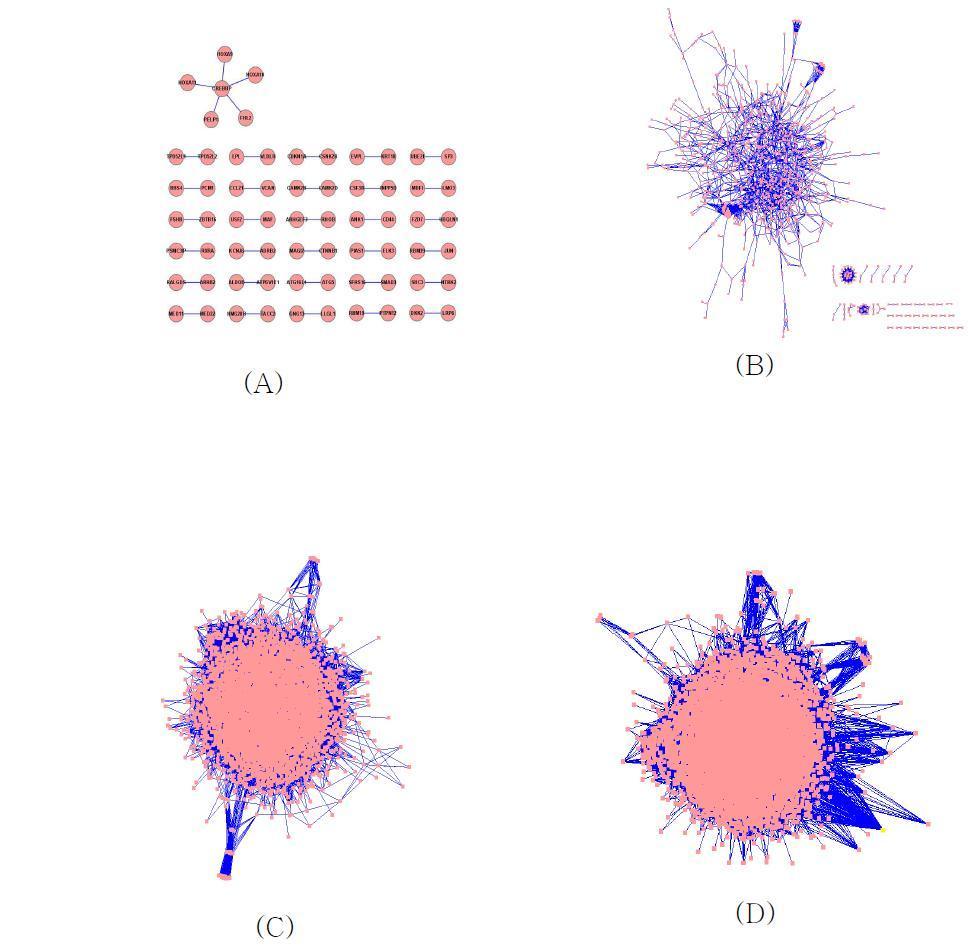 Gene-gene interaction과 protein-protein interaction 및 functional interaction의 통합 네트워크 그래프