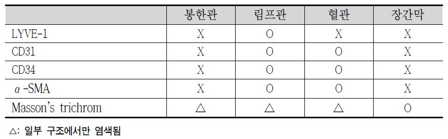 봉한관과 유사조직의 염색 결과