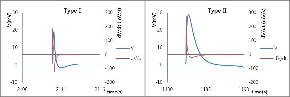 봉한관 활동전위의 대표적인 두 파형