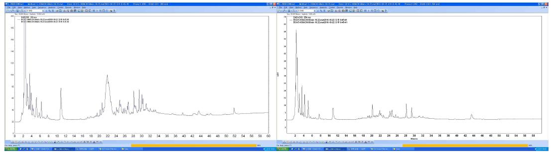 BC-4 추출물의 HPLC 크로마토그래피 (좌: 203 nm, 우: 254 nm)