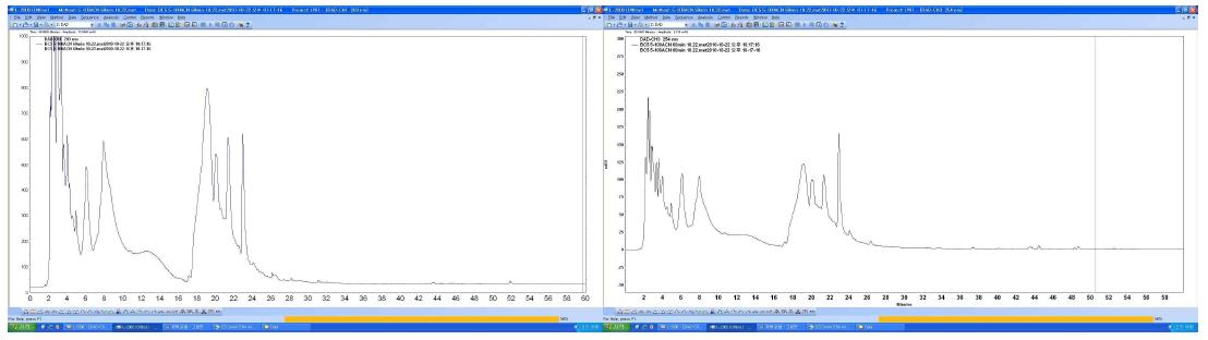 BC-5 추출물의 HPLC 크로마토그래피 (좌: 203 nm, 우: 254 nm)