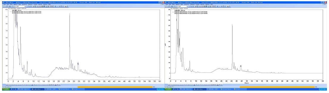 BC-21 추출물의 HPLC 크로마토그래피 (좌: 203 nm, 우: 254 nm)