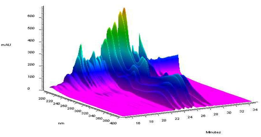 BC-20 추출물의 HPLC 3D 크로마토그래피