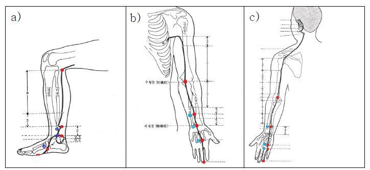오수혈과 비경혈 측정 위치.