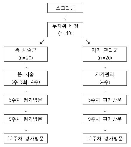 임상시험 진행 계획 flow chart