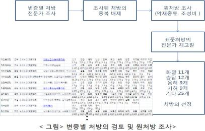 변증별 처방 library 개발 과정