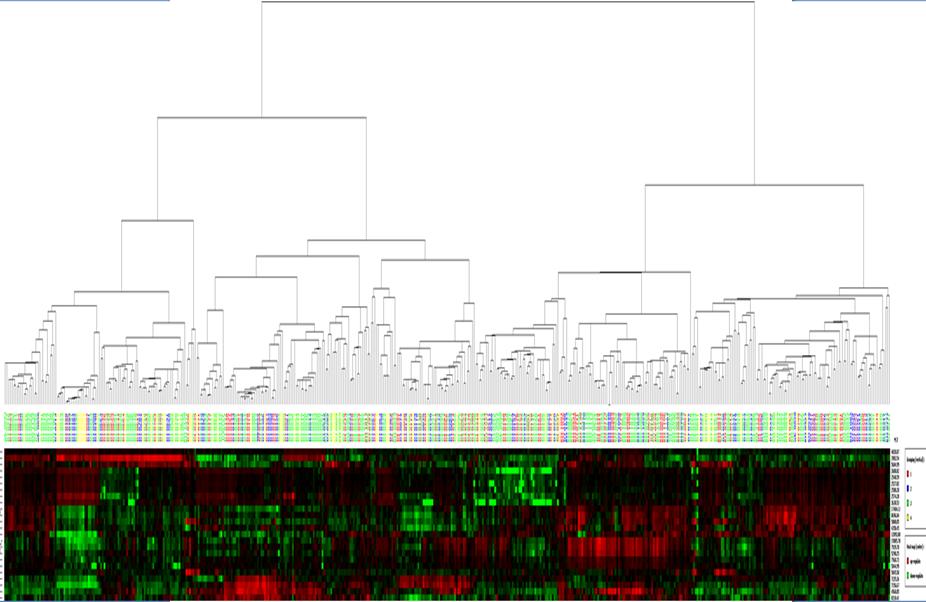 Protein profiling