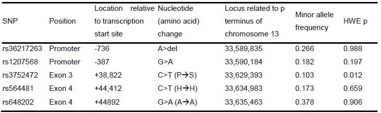 Characteristics of SNPs identified by genemic sequencing of the promoter and coding region of Klotho in 50 Korean elder subjects