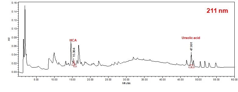 HPLC Chromatogram of Prunus mume (UA : 15.384 min, HCA : 47.991 min)