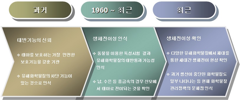 세대간 생체전이성 화학물질의 인식과정