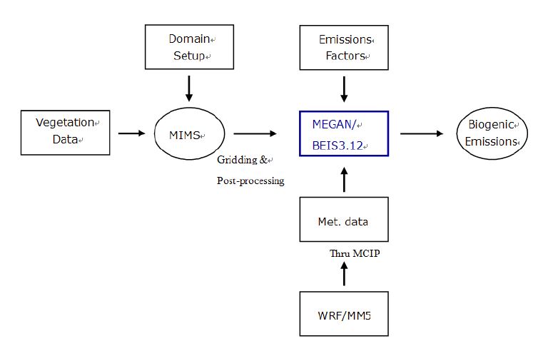 MEGAN을 이용한 자연적 배출량 처리의 흐름도