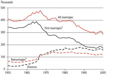 혼인, 초혼, 재혼, 이혼 추이