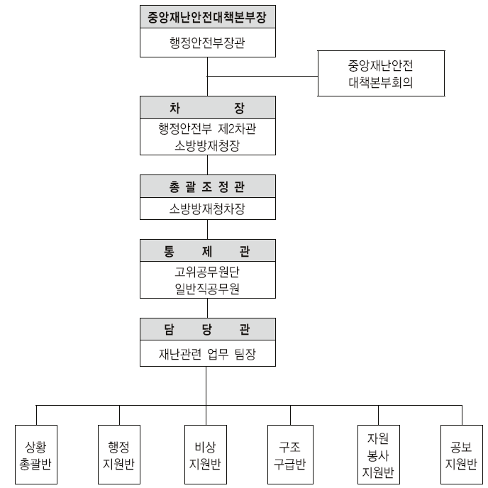 재난 및 안전관리의 집행구조 - 중앙재난안전대책본부