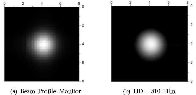 2D 프로파일의 Beam Profile Monitor와 HD - 810 Film 결과