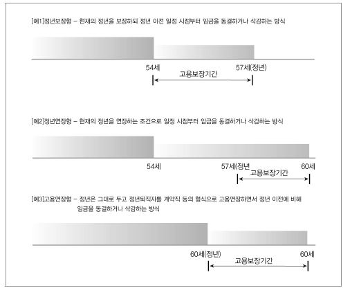 임금피크제 지원금 유형