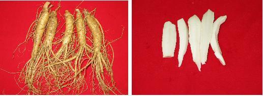 Raw ginseng (left) and pieces after washing and cutting (right)