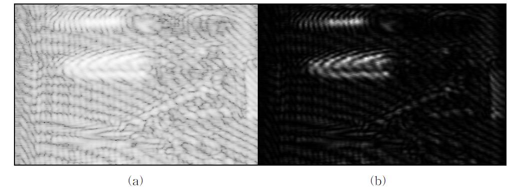 THz image of reflection type setup(1) : (a) magnitude(dB scale), (b) magnitude(linear scale)