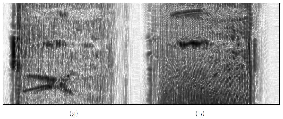 THz image of reflection type setup(4) screened using paper box with sample tilting: (a) right angle (b) left angle represented in linear scale