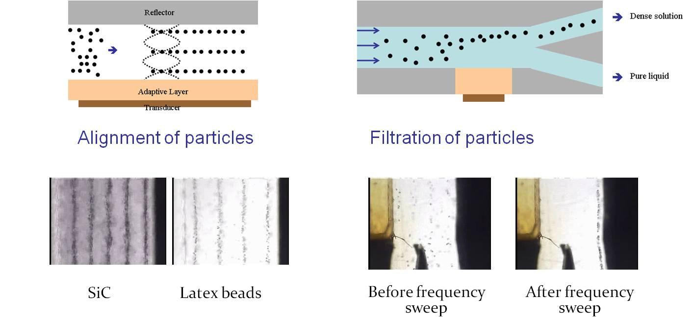 The alignment and filtration of microparticles (SiC particles and latex microspheres) in a microchannel by ultrasound