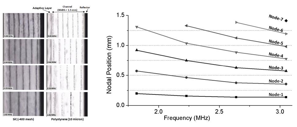 The alignment of SiC particles (size 35 micrometer) and latex microspheres in a frequency range from 1.82 MHz to 3.05 MHz (left). The location of the nodal lines obtained from the experimental results (right).