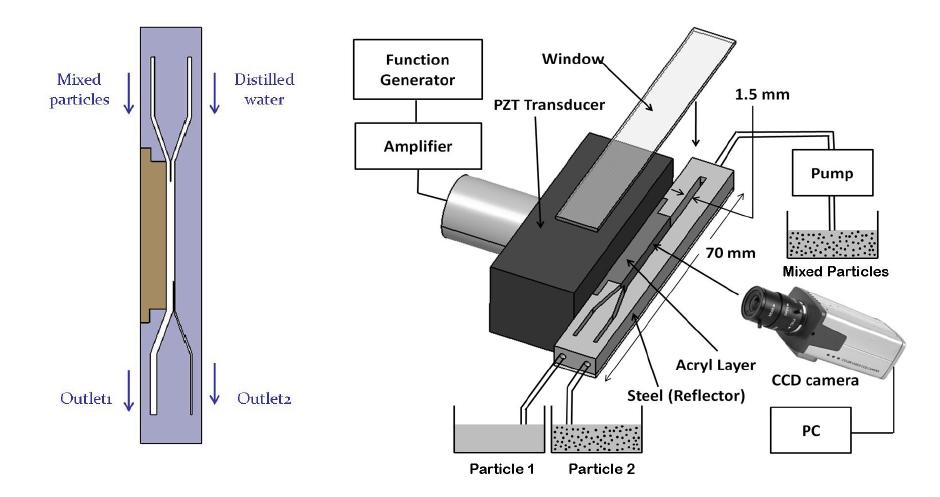 The microchannel module having two inlets and two outlets for the separation of two different microparticles (left). The experimental arrangement and the separation process of two different particles (right).