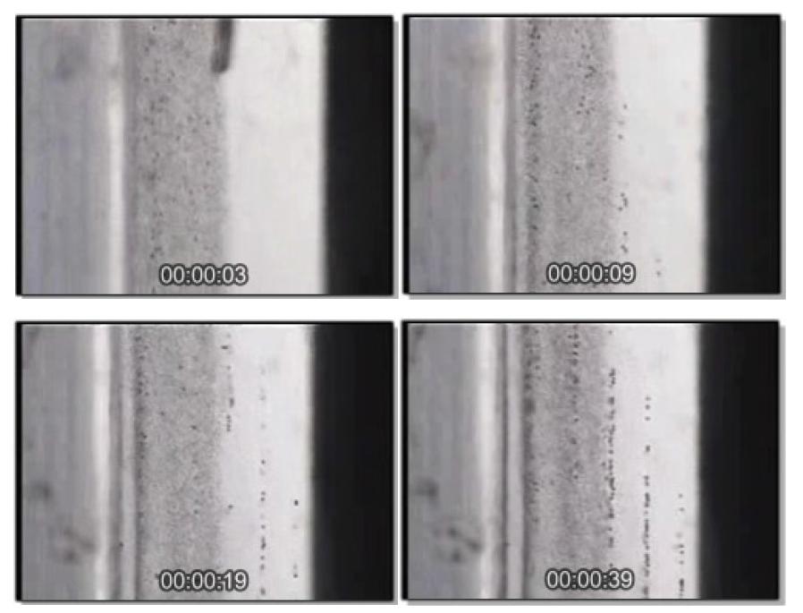 The vedio clips of the separation of the 6 and 25 micrometer polystyrene microspheres