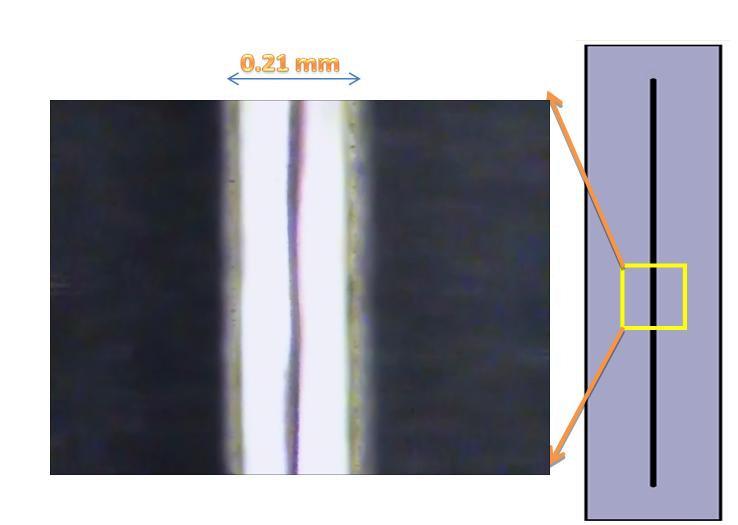 Alignment of 1 ㎛ polystyrene microspheres in a 210 ㎛ width channel