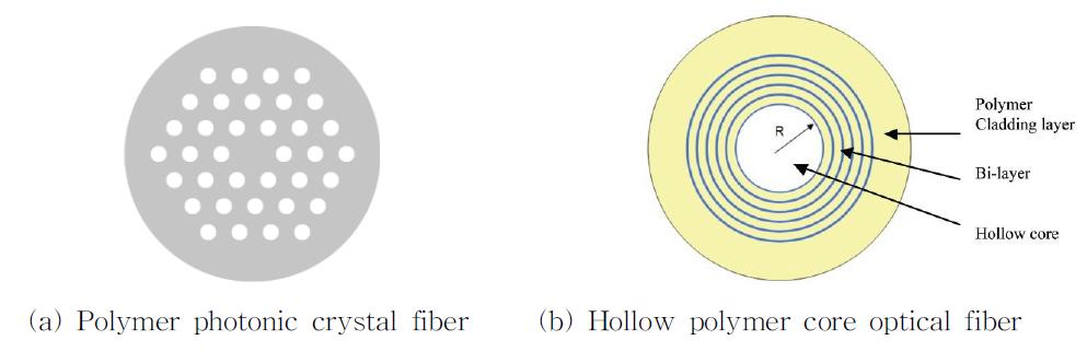 Polymer optical fibers for sensing.