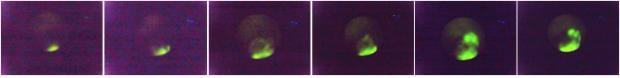 비정질 텅스텐 바늘을 에칭하여 전자원으로 사용하여 얻은 FEM 이미지, 좌측부터 팀과 전자방출유도전극 사이의 전류값을 각각 10, 100, 200, 300, 400, 500 nA 로 한정하였을 때 MCP를 거쳐 형광판에 보이는 이미지 사진.