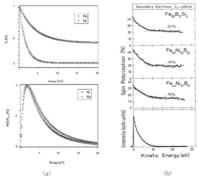 (a) magnetic materials (b) magnetic compound materials의 secondary electron intensity and spin polarization distribution