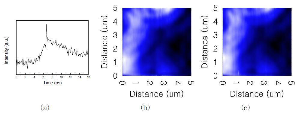 (a) TR-MOKE 현미경으로 측정한 FeNi의 TR-MOKE 신호. 펌프와 프로브 빔의 시간 간격이 0 ps. (b)와 10 ps (c) 에서 측정한 각각 TR-MOKE 이미지