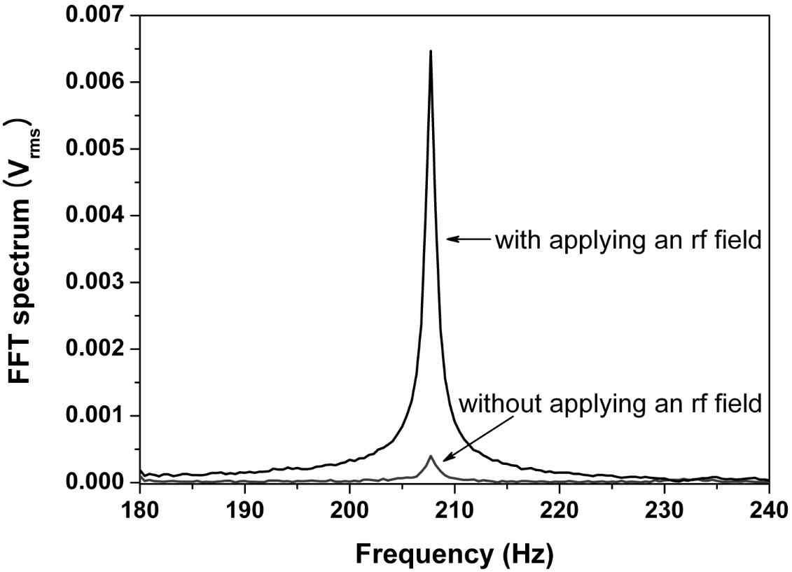 The FFT spectrum for 2 mM TEMPO solution at 1.35 mT. Each spectrum is obtained with a one-shot measurement. Black and dark gray lines represent the cases with and without applying an rf field of 79.8 MHz, respectively.