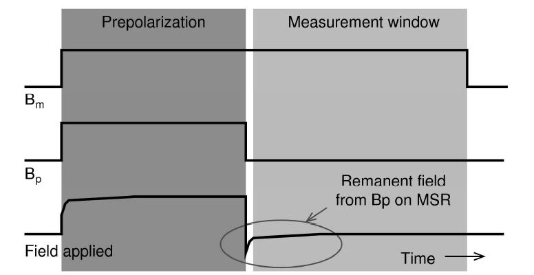 Schematic pulse sequences for Bm & Bp and actual field applied on the sample due to the remanent field from the MSR subjected to the strong Bp. Remanent field exaggerated for illustration.