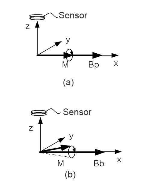 Example of spin dynamics in heart magnetic resonance. (a) Sample magnetization generated along the axis of the measuring magnetic field direction (x-axis). (b) Heart magnetic resonance with a reentry will tilt the magnetization into the y-z plane, which generates a measurable magnetic field by the SQUID.