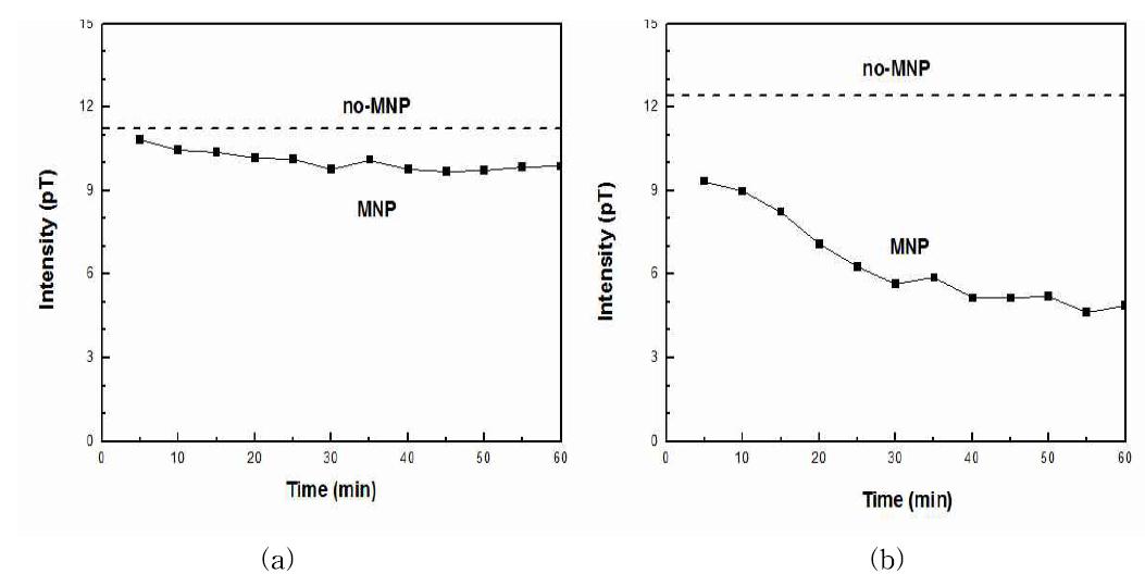 Temporal variations of peak intensity in the MCG waveforms of WKY, (a) Q-peak and (b) S-peak.