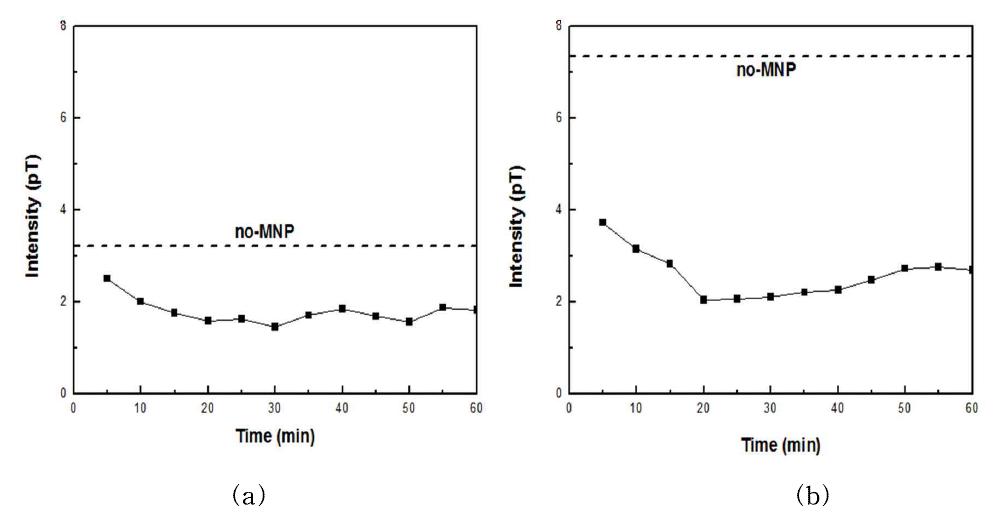 Temporal variations of peak intensity in the MCG waveforms of SHR, (a) Q-peak and (b) S-peak.