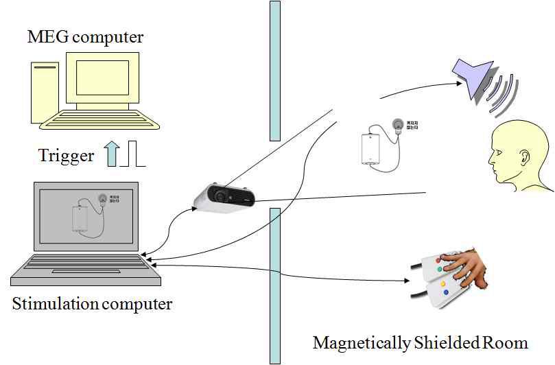 Schematic diagram of KRISS stimulation system.