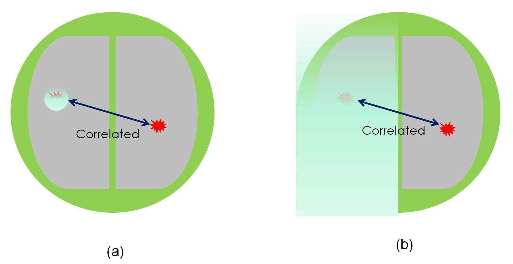 Two extreme cases for the source suppression; (a) point source suppression and (b) cluster source suppression for the whole contra-lateral hemisphere.