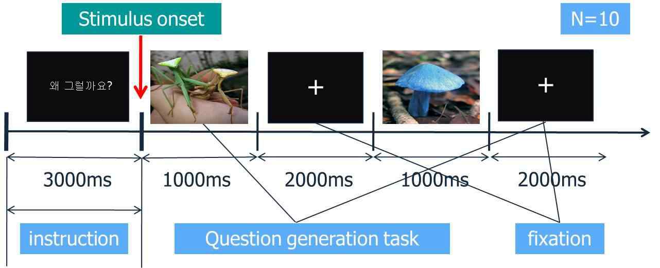 Paradigm of causal question task.