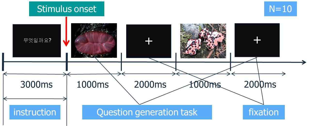 Paradigm of conjectural question task.