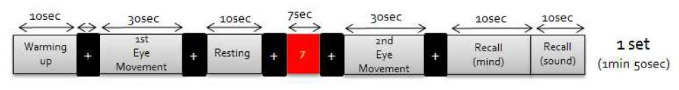 Paradigm of eye movement task.