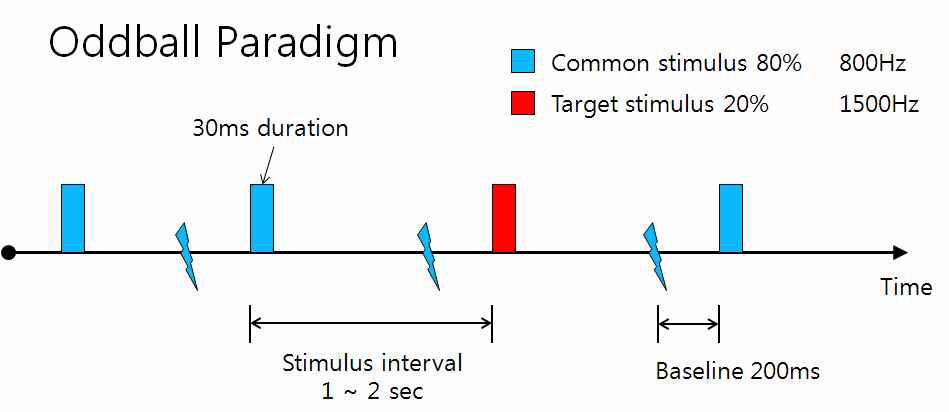 Auditory oddball task paradigm.