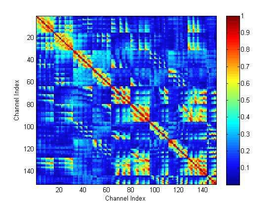 Mean phase coherence distribution map between the all channel of MEG(case12, experimental group, eye opened resting state before eye movement).