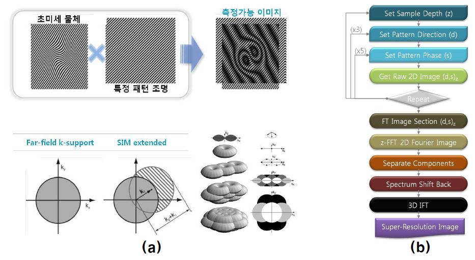 구조조명 현미경 (structured illumination microscopy: SIM)의 이미지 공간분해능 향상 원리 (a)와 원시영상자료 (raw image data) 취득 및 초고분해능 이미지 복원 순서를 나타내는 모식도 (b).