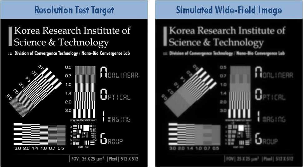 구조조명 이미지 복원 알고리듬 검증 및 이미징 공간분해능 평가 를 위한 시험 표적 (test target)과 기준용 전시야 (wide-field) 이 미지.