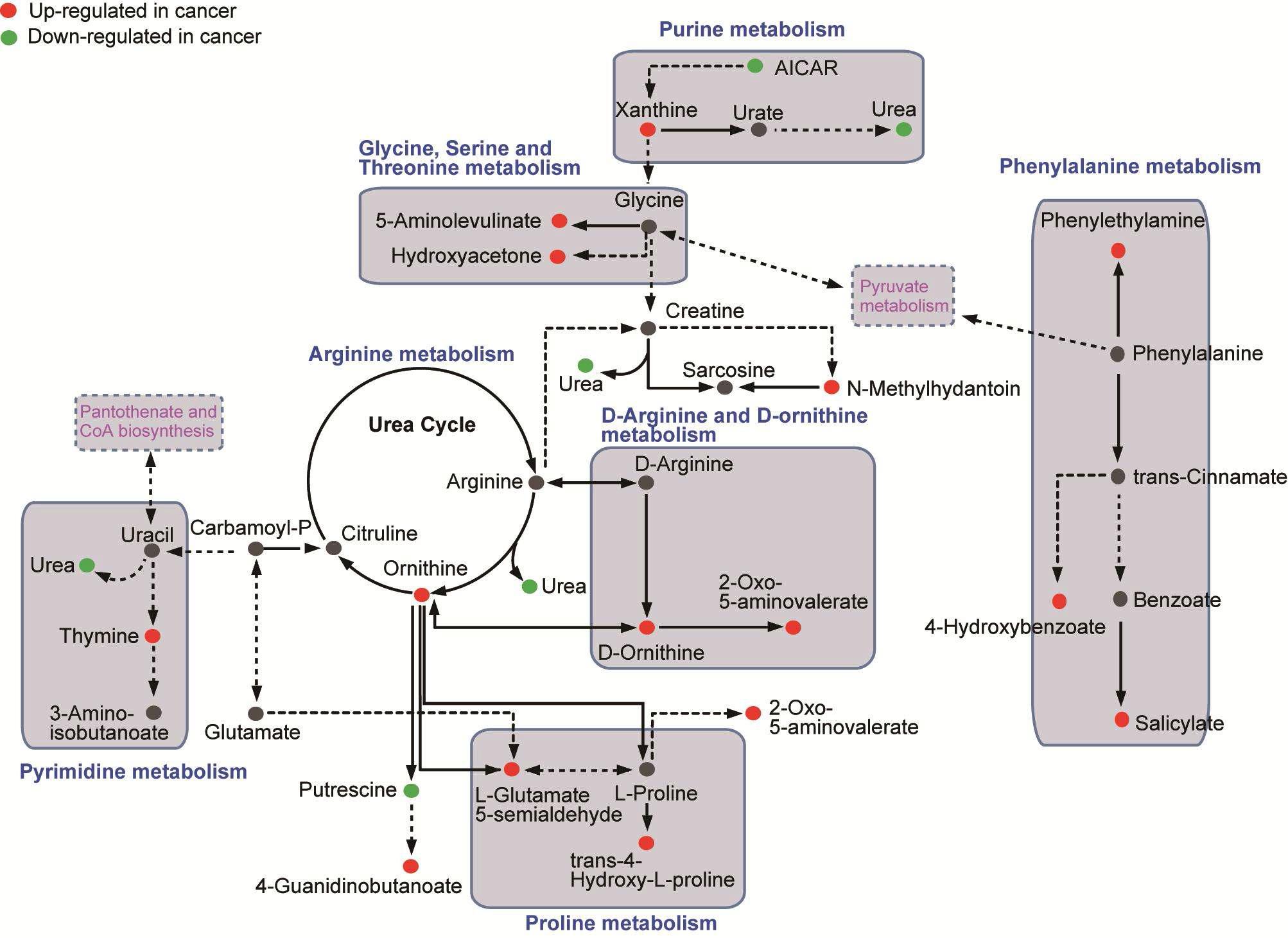 amino acid와 nucletide metabolic pathway의 네트워크.