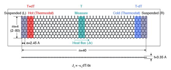 The unit cell atomic structure for calculation of lattice thermal conductivity of graphene.