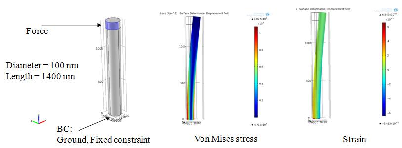Finite element analysis results on the bending of cantilever type ZnO nanowire specimen: (a) boundary condition, (b) Von Mises stress distribution, and (c) strain distribution.