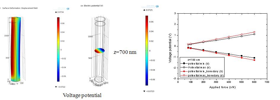 Finite element analysis results on the bending of cantilever type ZnO nanowire specimen: (a) voltage potential distribution, (b) voltage potential at z=700 nm, and (c) max. and min. voltage potentials at z=700 nm.