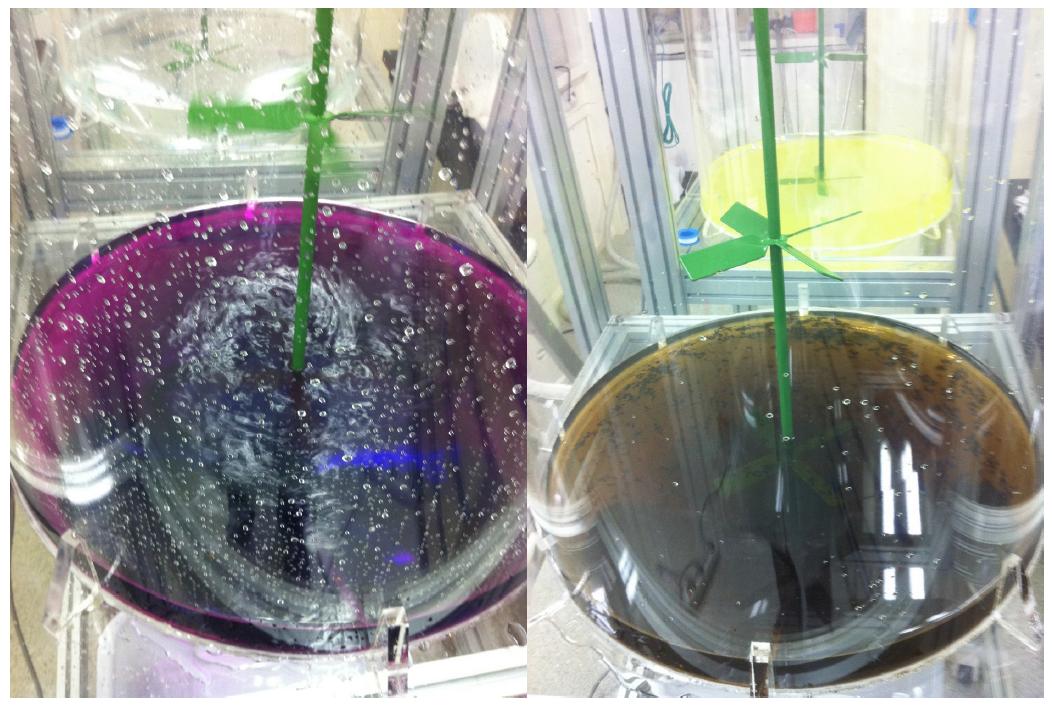 MnO2 coprecipitation for plutonium(238Pu, 239,240Pu) isotopes.